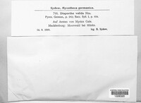 Image Associated With the Occurence